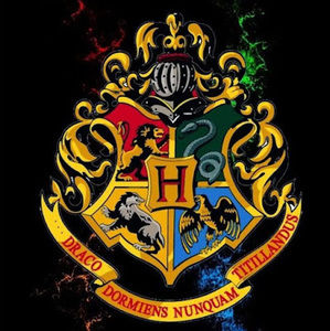 Meet your Posher, Haidee